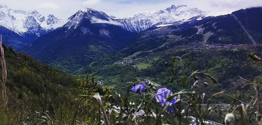 Balade en montagne histoire de vous faire découvrir la version verte et fleurie!