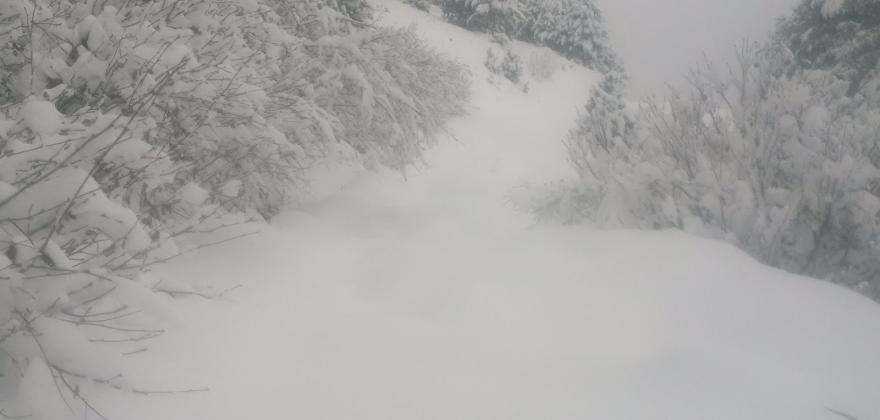 Premières Neiges en 2017