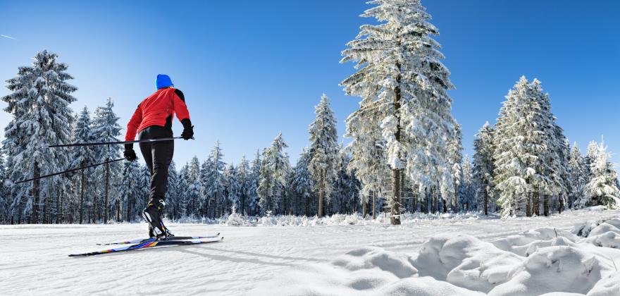 Entre Élégance Nordique et Aventure Tout-Terrain à l'Hôtel Le Tremplin