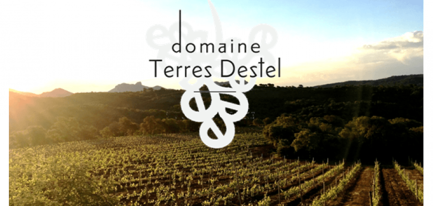 Dégustation des vins du domaine Terres Destel