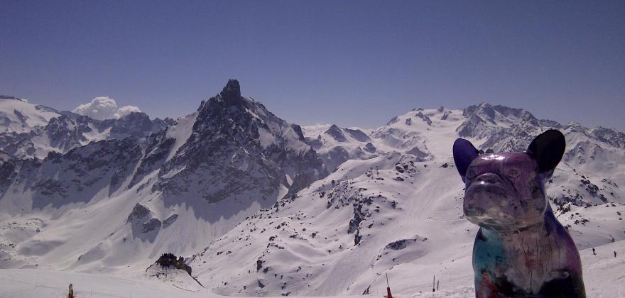 A l'hôtel le TREMPLIN MERIBEL, vos amis à 4 pates sont les bienvenus!